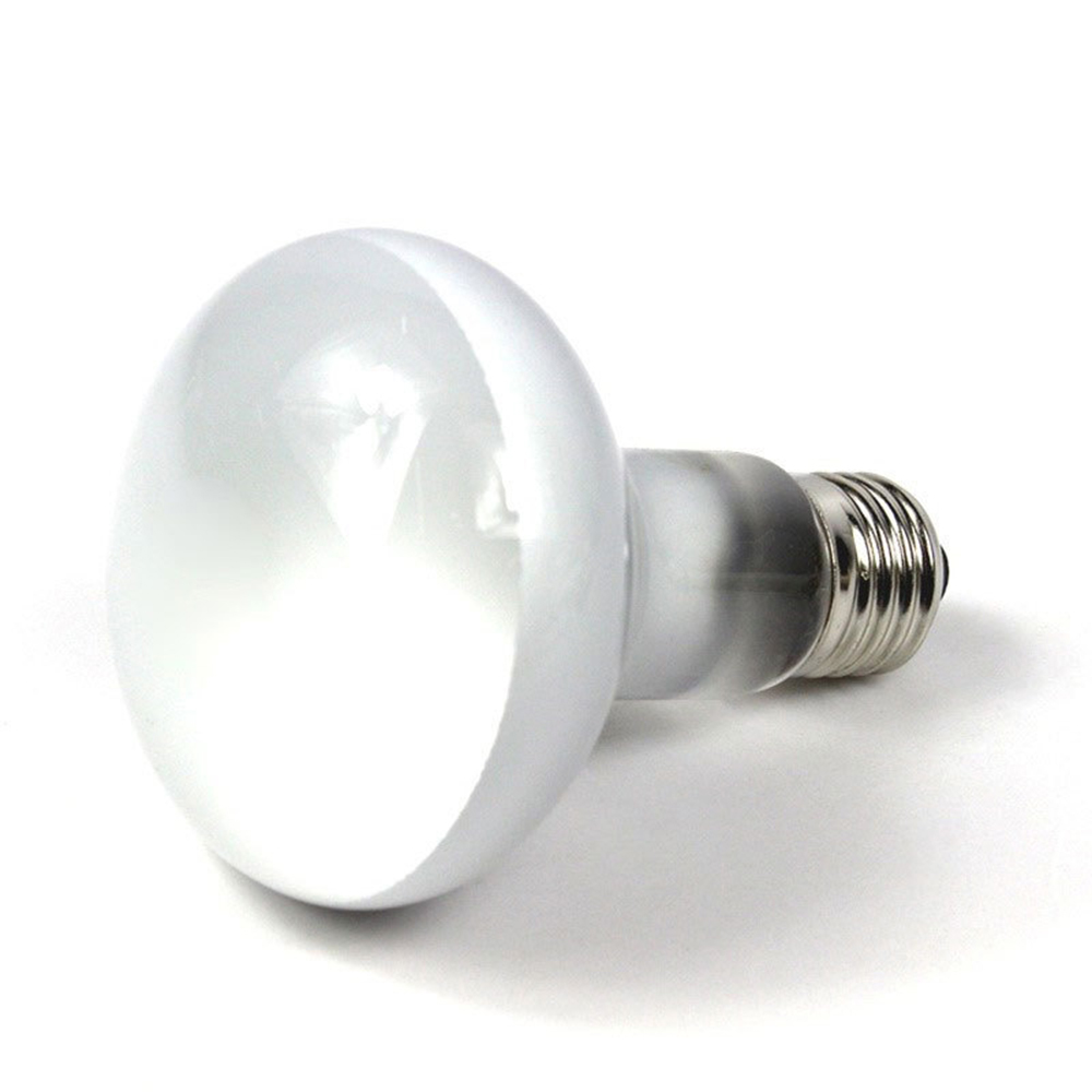 Lizard Heater Temperature Cont - đánh giá và giá Basking Bulb Halogen