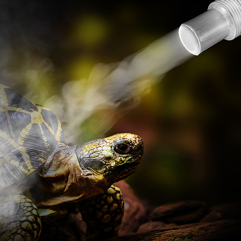 4L Bò Sát Terrarium Máy Tạo Độ - đánh giá và giá Terrarium Fogger Ultrasonic
