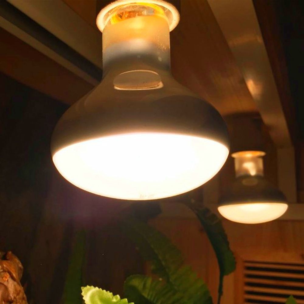 Lizard Heater Temperature Cont - đánh giá và giá Basking Bulb Halogen