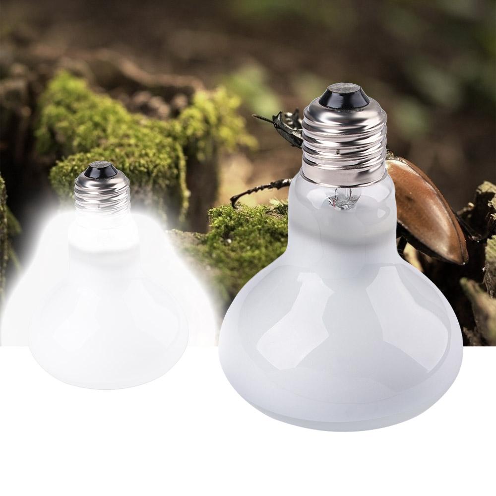 Amphibians Temperature Control - đánh giá và giá Basking Bulb Halogen