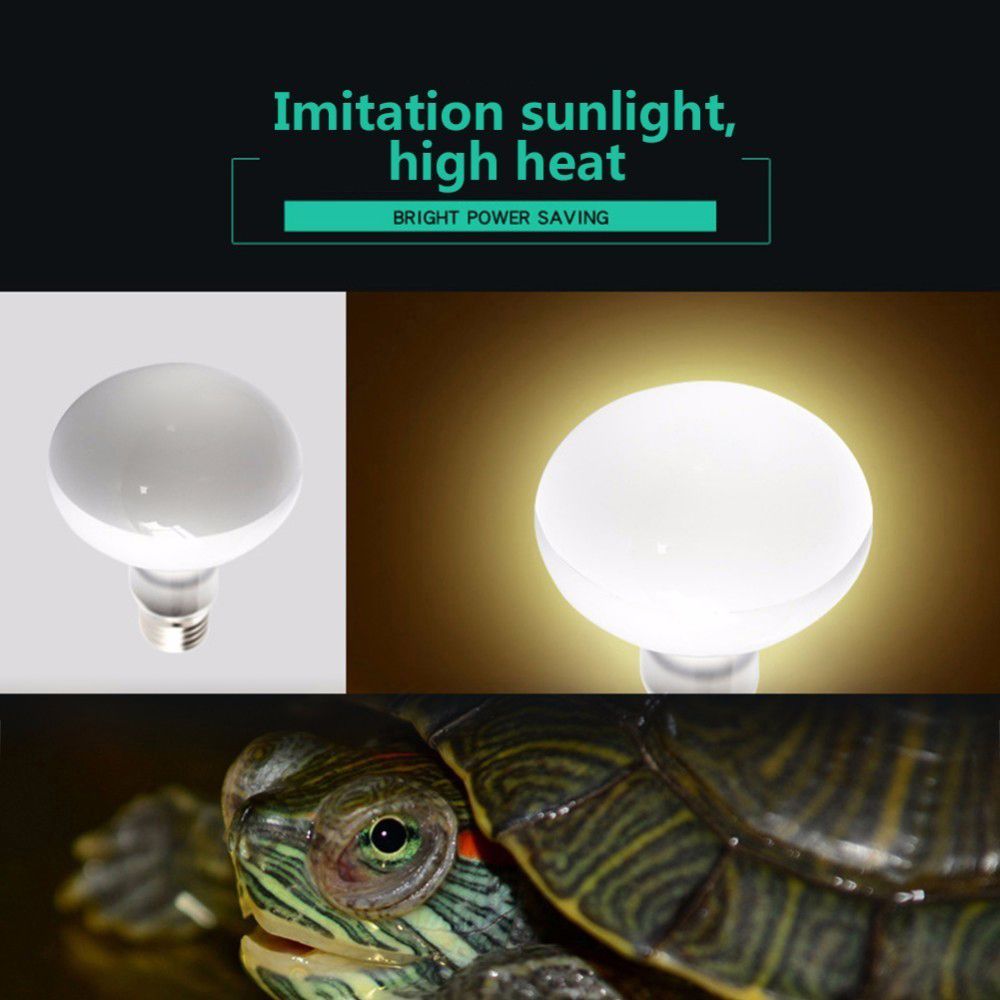 Amphibians Temperature Control - đánh giá và giá Basking Bulb Halogen