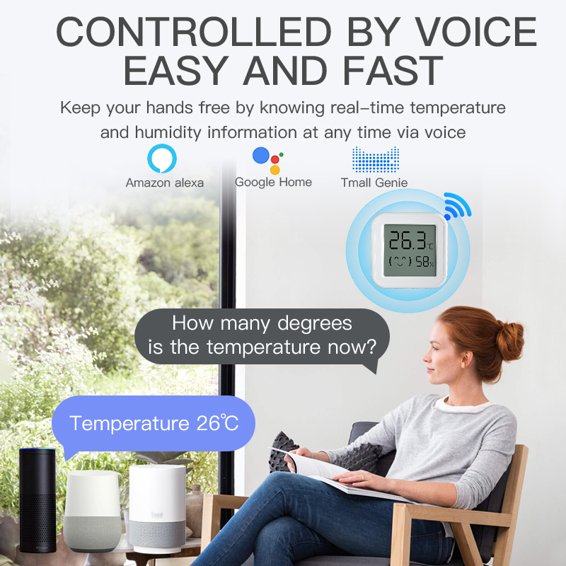 Bluetooth Temperature Humidity - đánh giá và giá Digital Hygrometer Probe