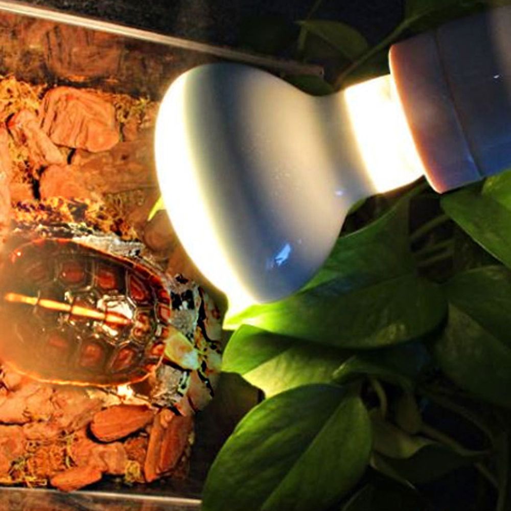 Turtle Heater Temperature Cont - đánh giá và giá Basking Bulb Halogen