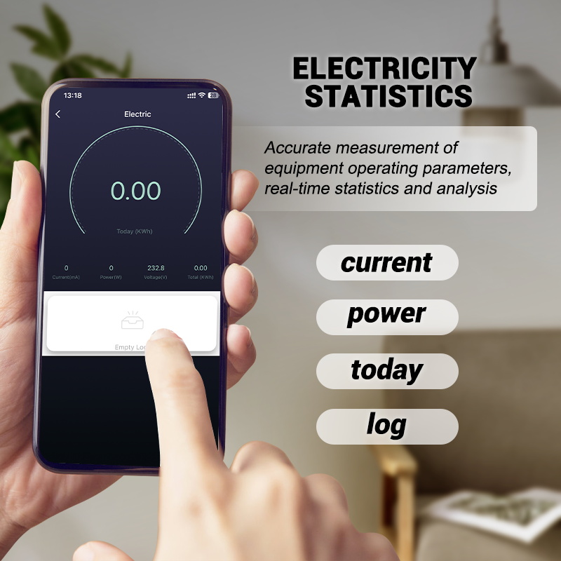 Avoir Tuya Zigbee Điện Ổ Cắm I - đánh giá và giá Timer Dual Outlet