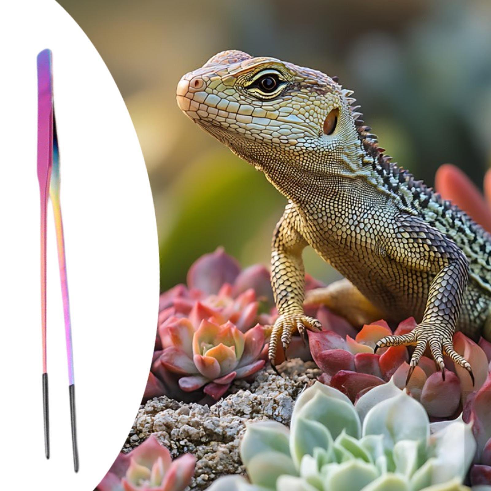 Small Pet Supplies Reptile Fee - đánh giá và giá Feeding Tong Stainless