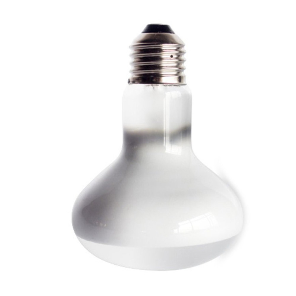 Turtle Temperature Controller  - đánh giá và giá Basking Bulb Halogen