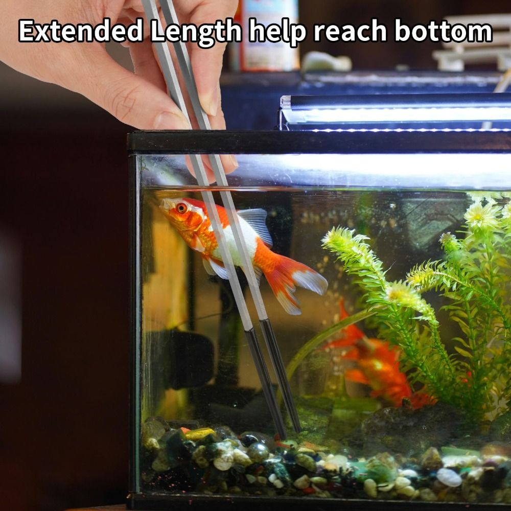 Stainless Steel Aquarium Feedi - đánh giá và giá Feeding Tong Stainless