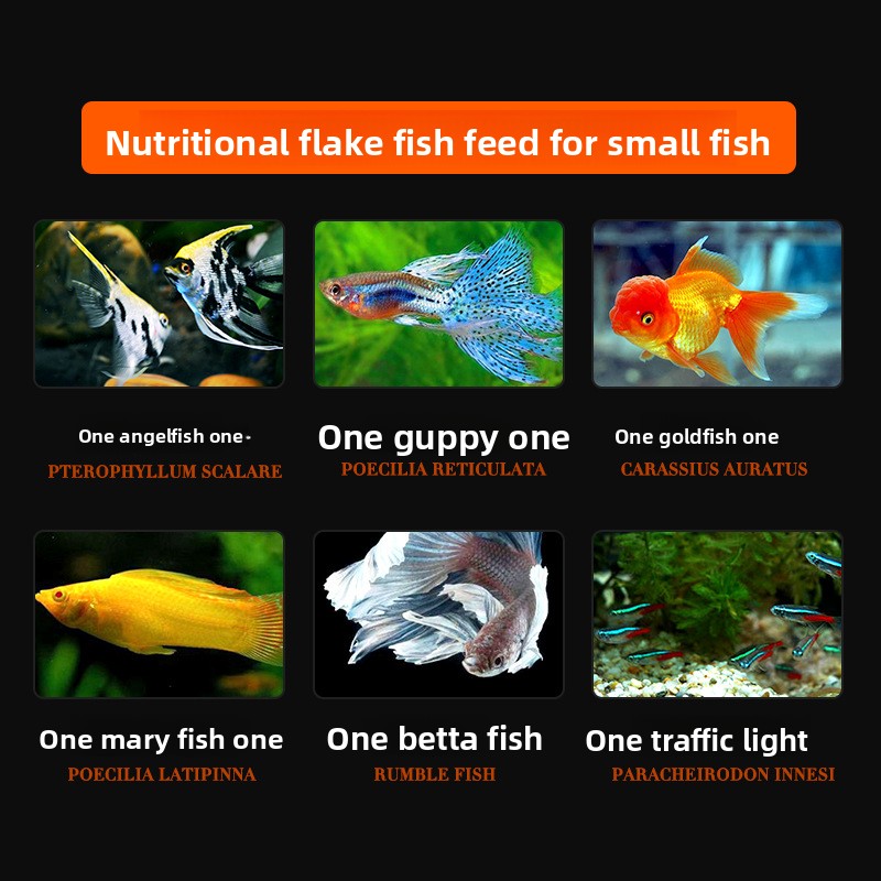 DaJiaWa Spirulina Flake Fish F - đánh giá và giá Tetra Food Betta Flakes